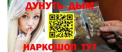 дживик Кингисепп