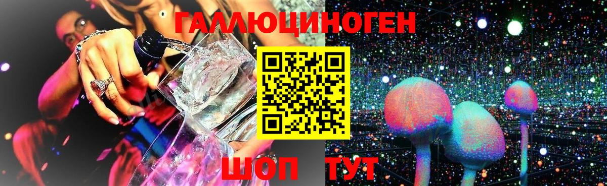Галлюциногенные грибы Psilocybine cubensis  Галлюциногенные грибы MAGIC MUSHROOMS  Вход с VPN  Кудрово 