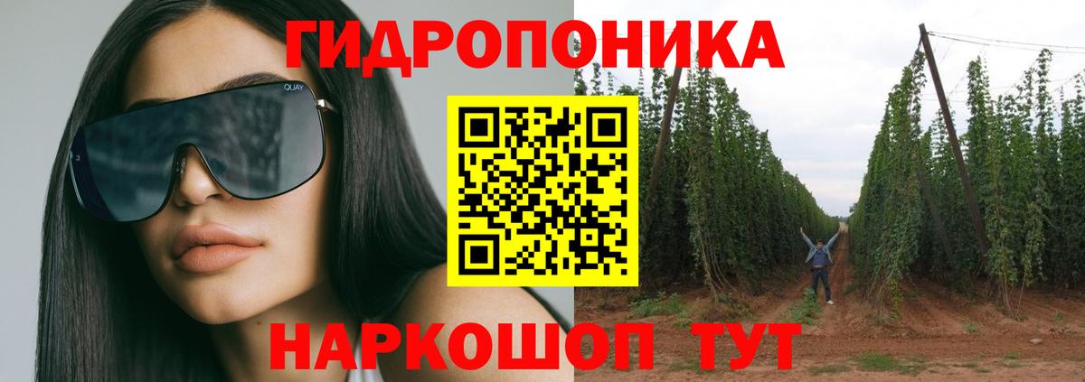 Бошки Шишки VHQ  Вход с VPN  Кудрово  Марихуана White Widow  Бошки Шишки OG Kush 